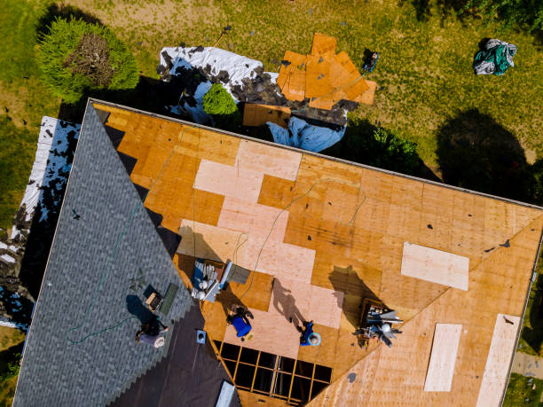 Quick and Trustworthy Emergency Roof Repair Services in Sarasota, FL